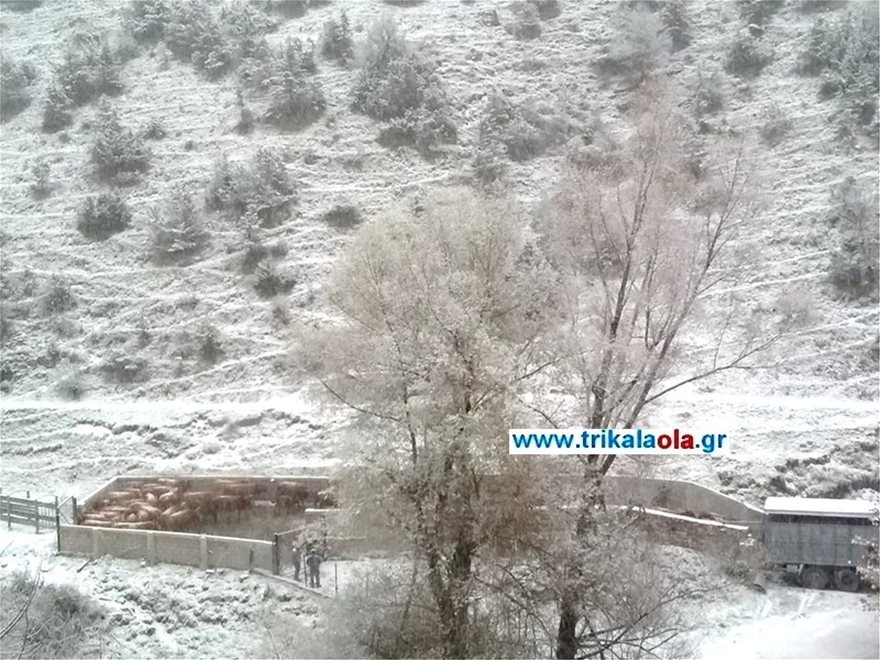 «Το έστρωσε» ήδη στα Τρίκαλα (φωτο)