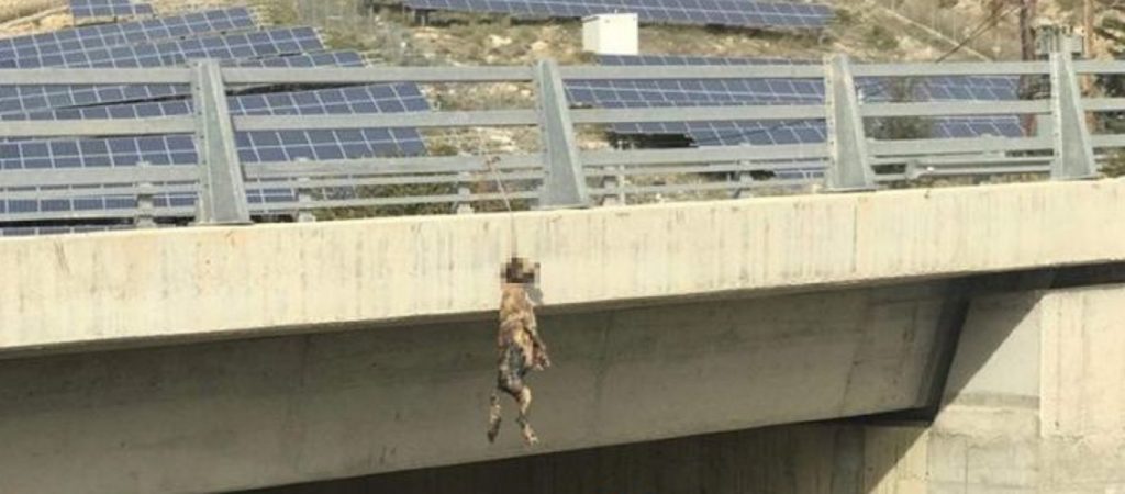 Κτηνωδία στην Κρήτη: Κρέμασαν σκύλο σε γέφυρα (φώτο)