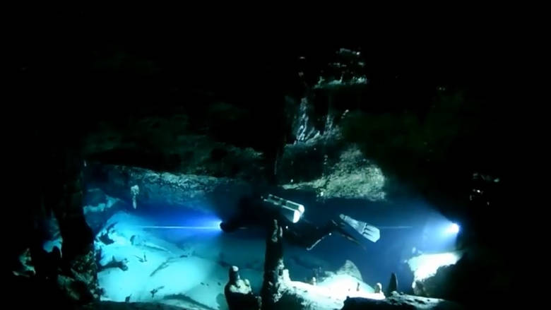 Αμφιτρίτη: Το «χιονισμένο» υποθαλάσσιο σπήλαιο του Αιγαίου (βίντεο)
