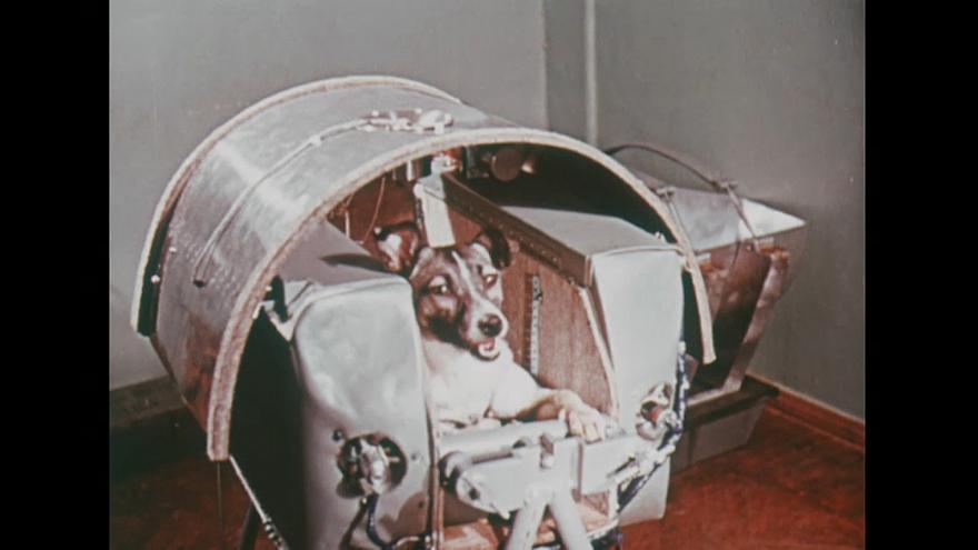 Λάικα: Το πρώτο σκυλί στο διάστημα – Ποια ήταν στην πραγματικότητα η τύχη που της επιφύλασσαν οι Σοβιετικοί