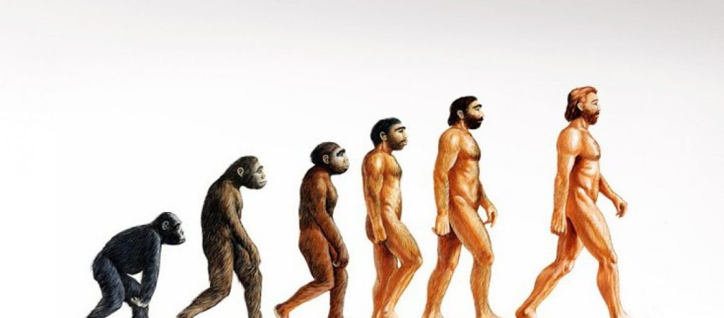 Το αιώνιο ερώτημα: «Από που προερχόμαστε;» – Επιστήμονες έρχονται να καταρρίψουν τη θεωρία του Δαρβίνου