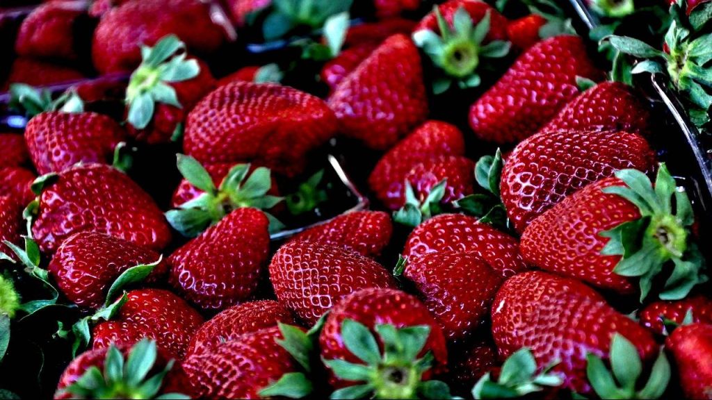 Βρέθηκε και άλλη βελόνα σε συσκευασία με φράουλες στη Νέα Ζηλανδία