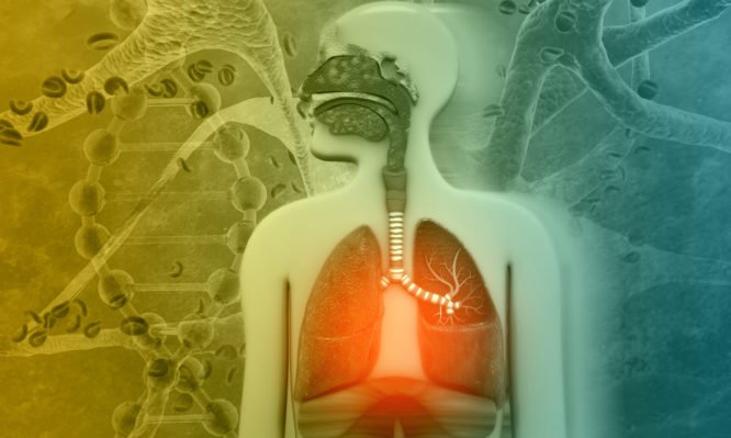 Κάπνισμα: 6 τροφές που βοηθούν να καθαρίσετε τους πνεύμονες από τη νικοτίνη