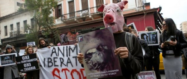 Όταν οι Vegan κάνουν «ντου» στη Βαρβάκειο – Διαμαρτυρήθηκαν με μάσκες γουρουνιών (φωτο)