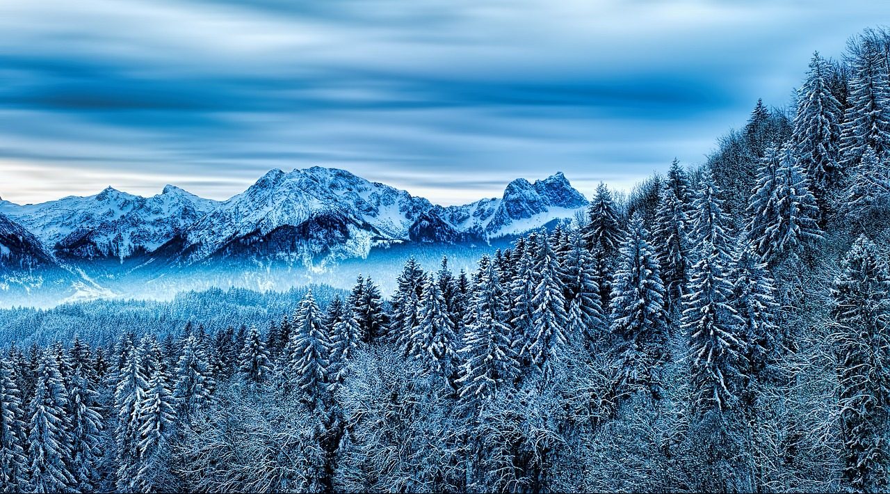 Σε πόλη του Κολοράντο απαγορευόταν ο χιονοπόλεμος -Πώς τους άλλαξε γνώμη ένας 9χρονος