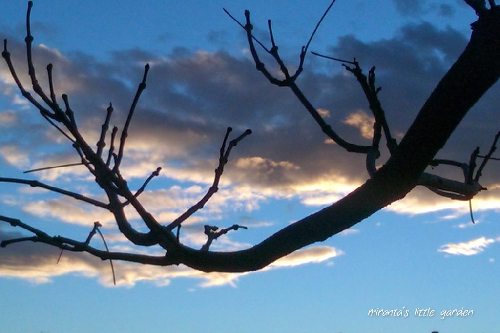 Καιρός: Ηλιοφάνεια αλλά με χαμηλές θερμοκρασίες σήμερα