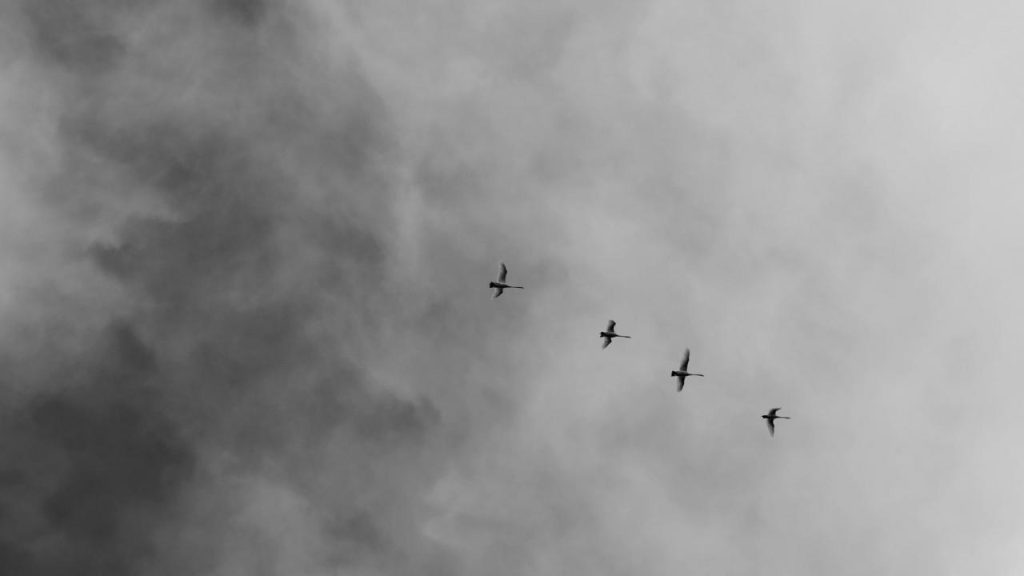 Το 95% του παγκόσμιου πληθυσμού αναπνέει μολυσμένο αέρα