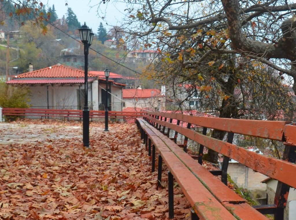 Σοκ στη Λέσβο: Bρέθηκαν κουφάρια από γάτες και αδέσποτους σκύλους – Κάτοικοι καταγγέλλουν συγχωριανό: «Τα έφαγε…»