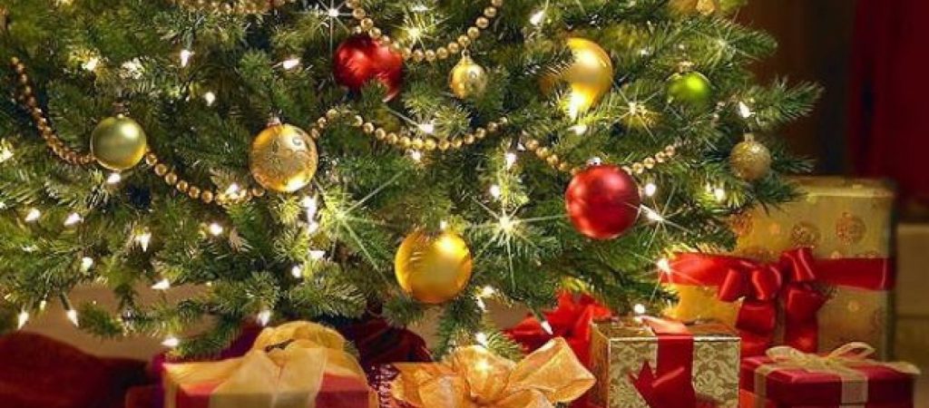 Το ξέρατε; Πάνω από 25.000 ζωύφια έχει κάθε χριστουγεννιάτικο δέντρο που βάζουμε σπίτι