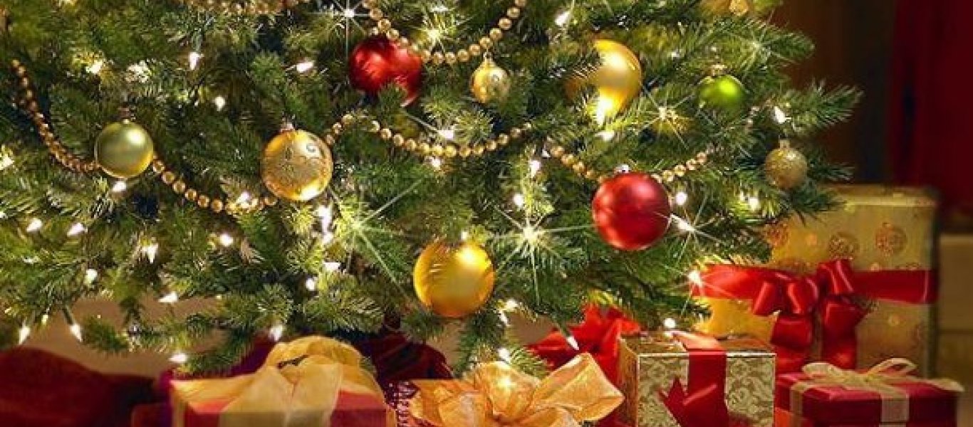 Το ξέρατε; Πάνω από 25.000 ζωύφια έχει κάθε χριστουγεννιάτικο δέντρο που βάζουμε σπίτι