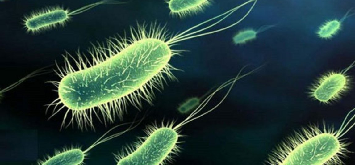 Έρευνα μαρτυρά το πιο βαθιά κρυμμένο μυστικό της Γης – Μικρόβια «ζόμπι» κατοικούν στα έγκατα της Γης (φωτο)