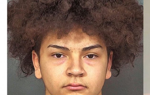 Φρίκη: 16χρονος σκότωσε την 17χρονη κοπέλα του γιατί ήταν έγκυος – Την πέταξε στα σκουπίδια