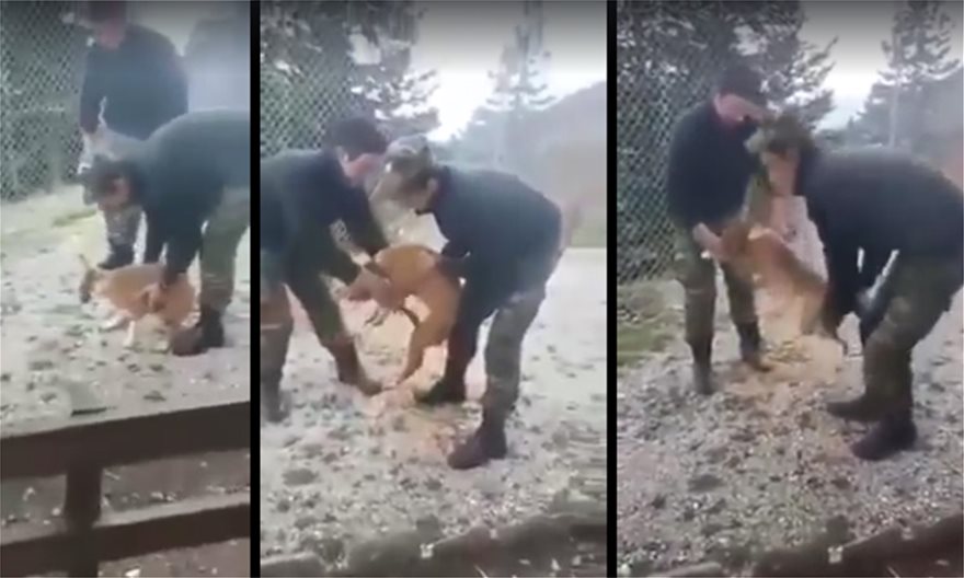 Ποινή φυλάκισης 10 ετών αποφάσισε το δικαστήριο για τους δύο στρατιώτες που είχαν κακοποιήσει σκύλο (φωτο)