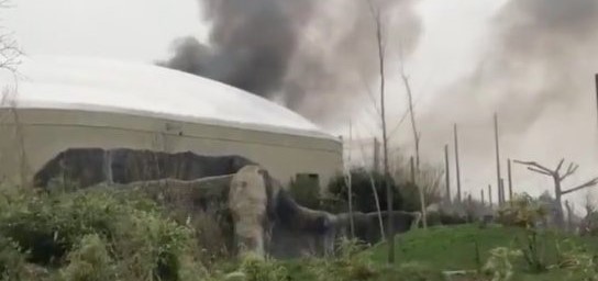 Βρετανία: Εκκενώθηκε ζωολογικός κήπος εξαιτίας πυρκαγιάς (βίντεο)
