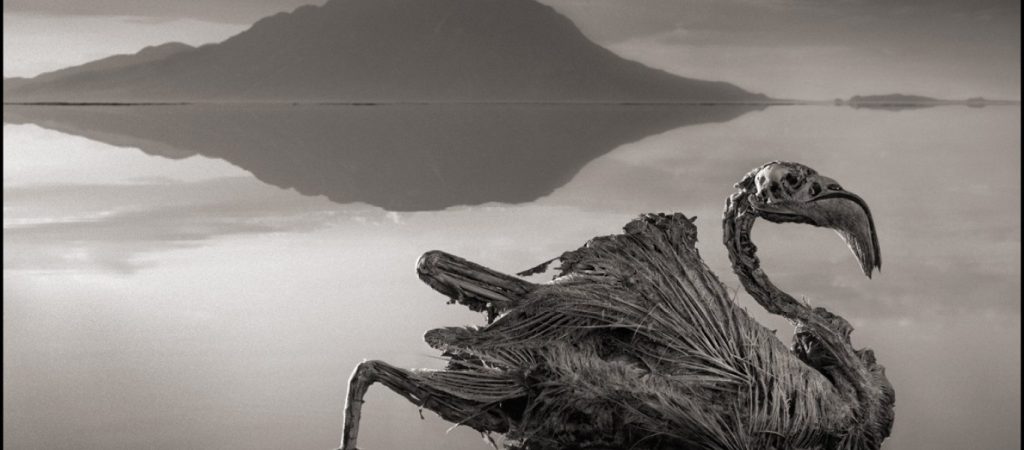 Η λίμνη του «θανάτου» – Ρουφάει τη ζωή σε όποιον την πλησιάζει (φωτό)