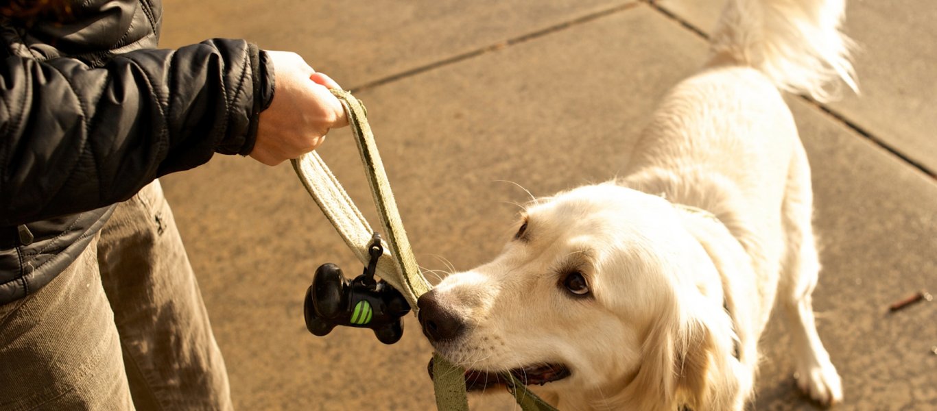 Μαρτυρία γειτόνισσας για τον 6χρονο που πνίγηκε με το λουρί του σκύλου (βίντεο)