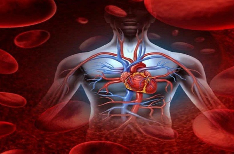 Aυτό είναι το μπαχαρικό που ρίχνει το σάκχαρο και διαλύει θρόμβους!