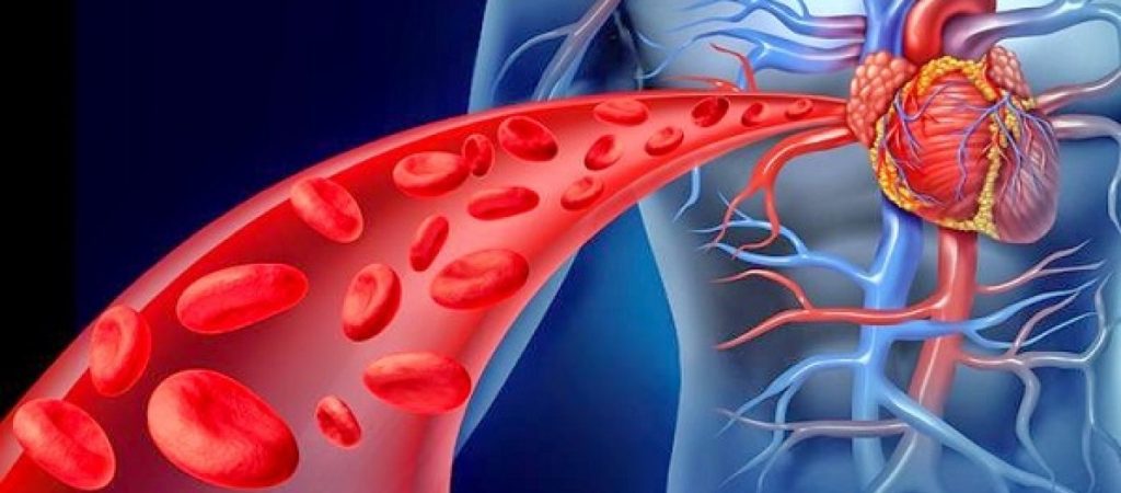 Αυτές είναι οι δέκα τροφές που «καθαρίζουν» τις αρτηρίες