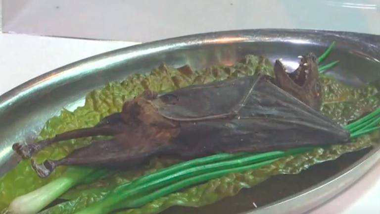 Αυτά είναι τα πιο αηδιαστικά φαγητά του κόσμου – Αντέχεις να δεις το βίντεο;