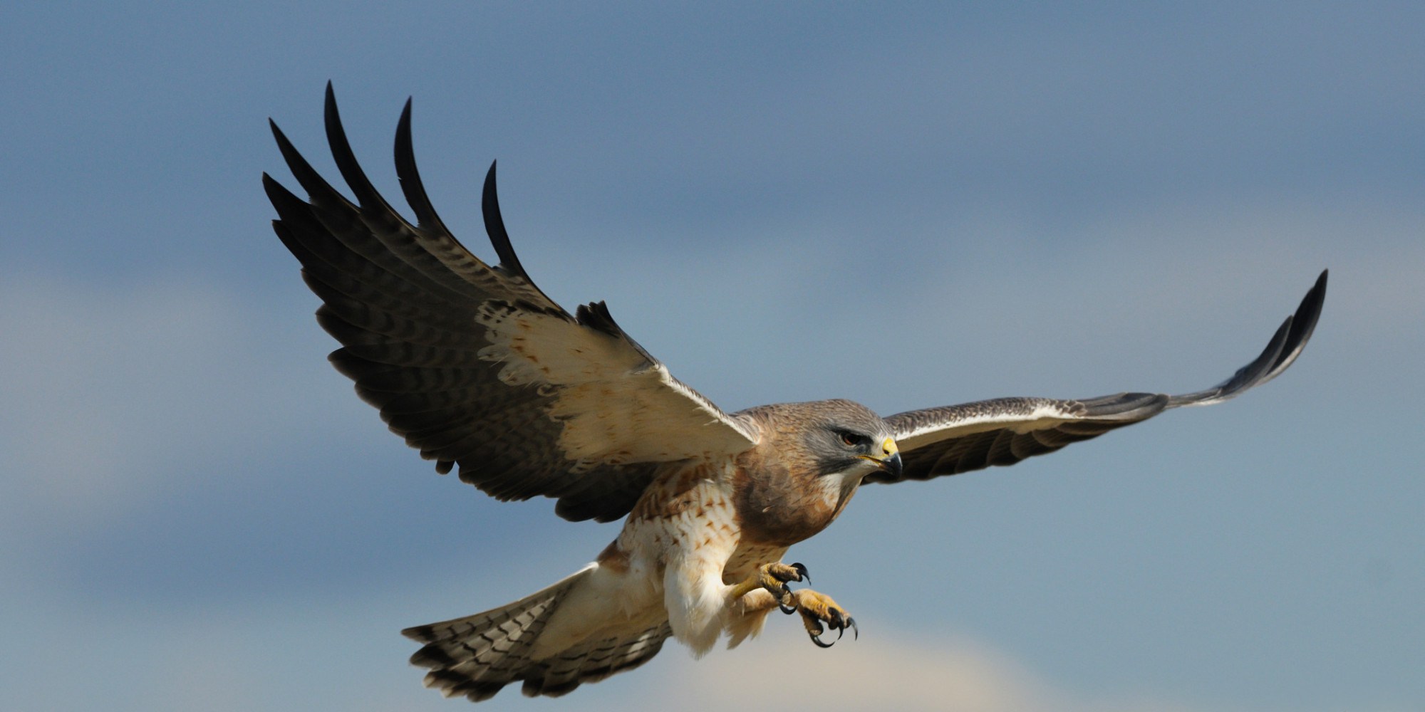 Αγρίνιο: ‘Ενας… ιπτάμενος επισκέπτης στην Αστυνομική Διεύθυνση Ακαρνανίας (βίντεο)