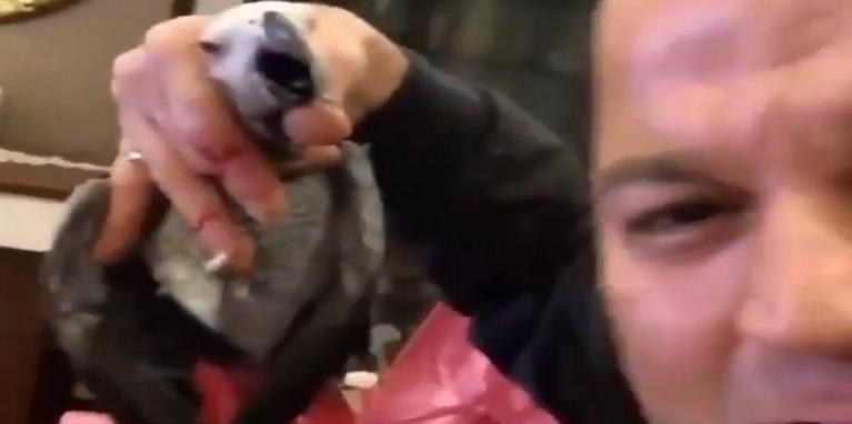 Τον έδιωξαν από το MasterChef και βασάνισε μέχρι θανάτου τον παπαγάλο του (βίντεο)