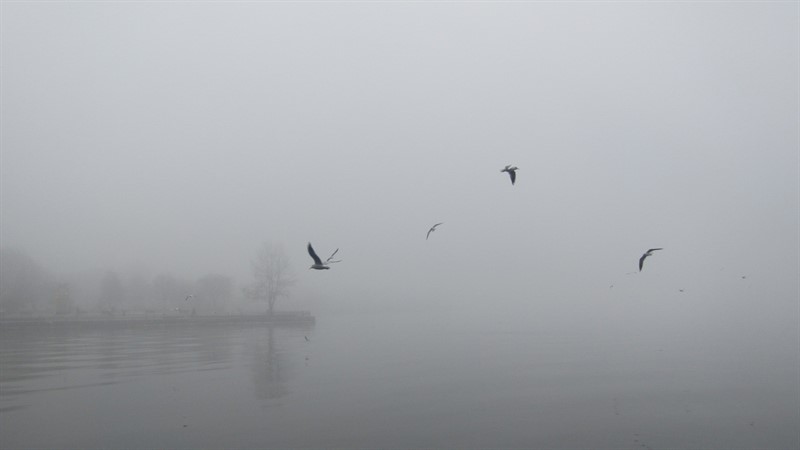 Η λίμνη των Ιωαννίνων χαμένη στην ομίχλη – Το αποτέλεσμα…εντυπωσιακό (φωτο)