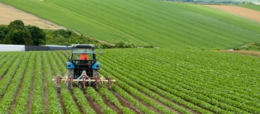 Η κυβέρνηση μοιράζει χωράφια με 5 ευρώ το στρέμμα – Ποιοι είναι δικαιούχοι