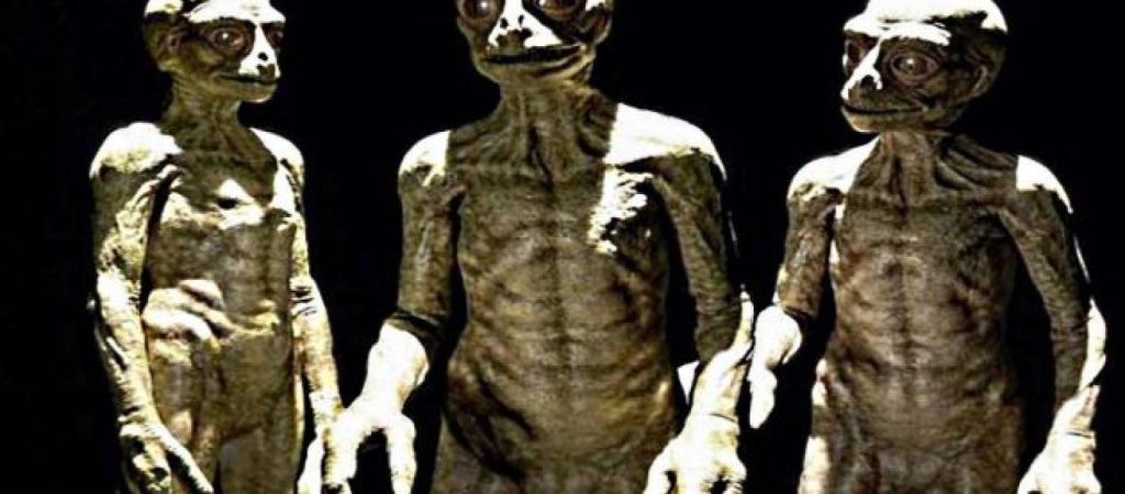 Naga: Η ερπετοειδής φυλή ζει κάτω από την Ινδία; (βίντεο)