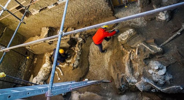 Πομπηία: Αρχαιολογική σκαπάνη έφερε στο φως απολιθωμένο άλογο (φωτο)