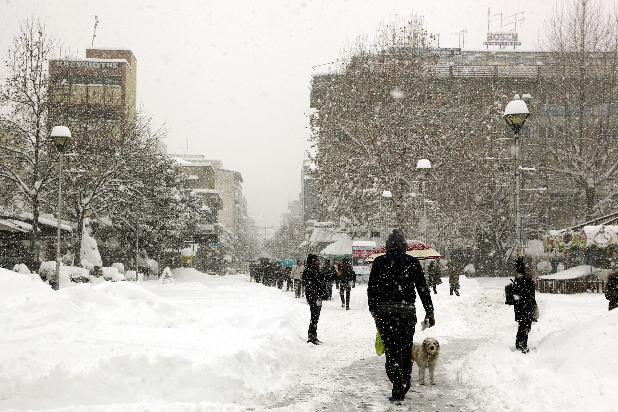Έκτακτο δελτίο καιρού: «Βουτιά» 10 βαθμών στην θερμοκρασία από το βράδυ – Έρχονται χιονισμένα Χριστούγεννα