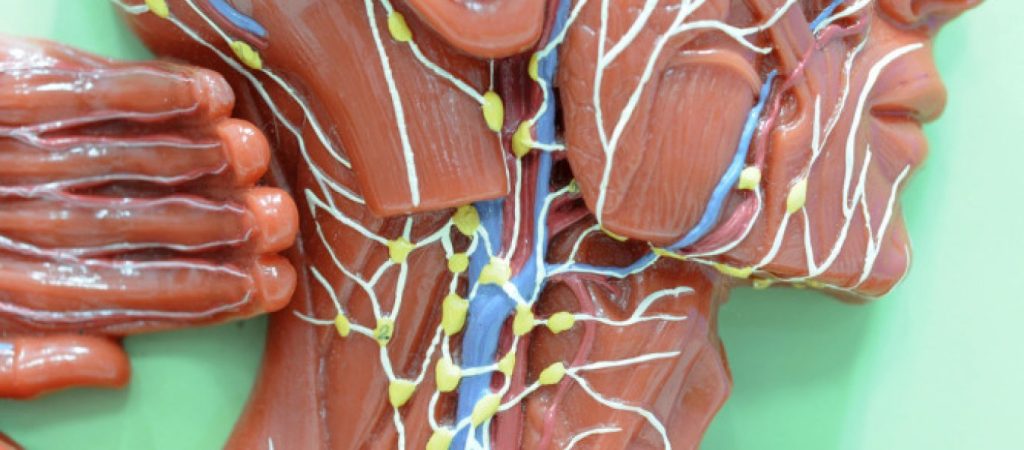 Λέμφωμα- πρόληψη: Πώς γίνεται η αποτοξίνωση στους λεμφαδένες