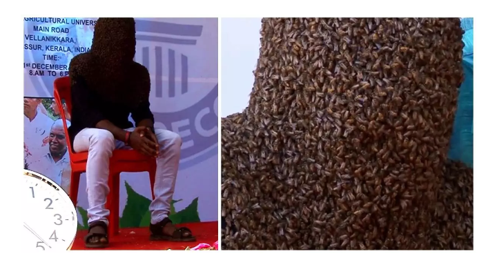 Έβαλε 60.000 μέλισσες στο πρόσωπό του και… έσπασε το ρεκόρ (βίντεο)