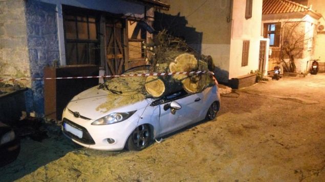 Λέσβος: Ξεριζώθηκε δέντρο και τα έκανε γυαλιά καρφιά (φωτο)