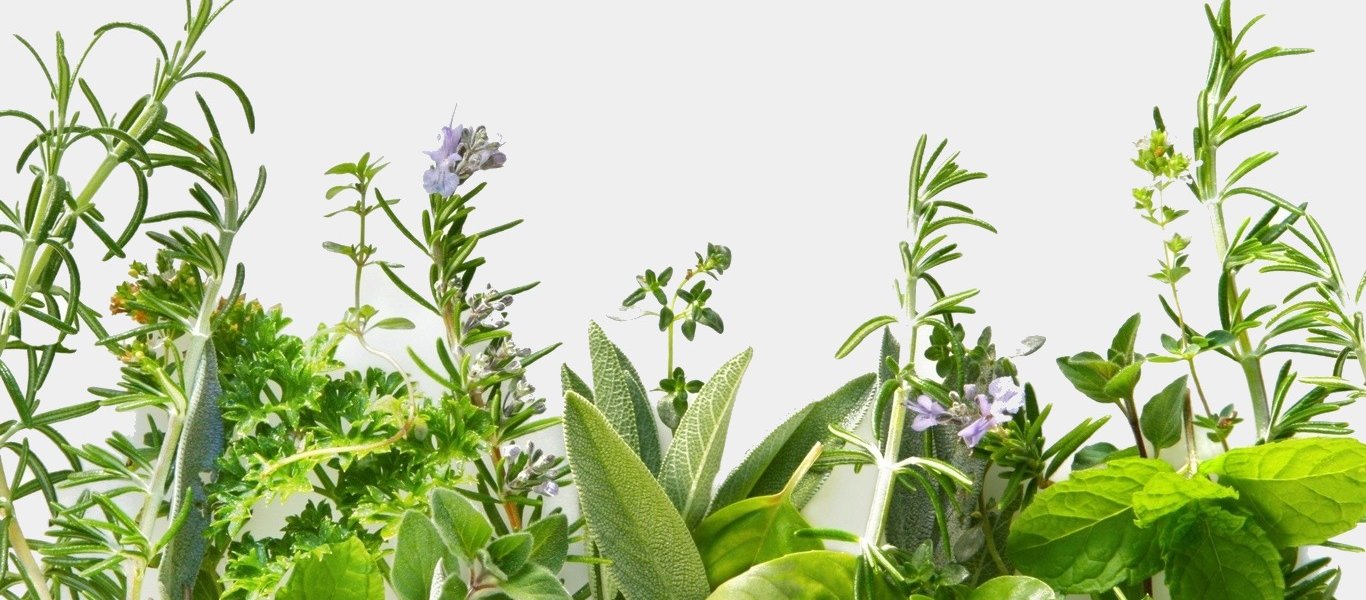 Αυτό είναι το βότανο που κάνει θαύματα και εξολοθρεύει τον ιό της γρίπης