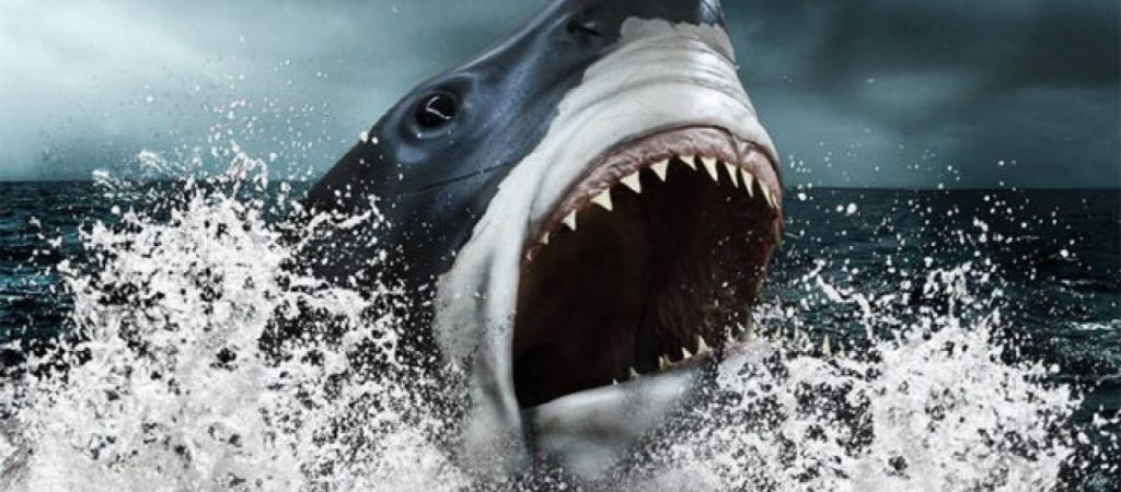 Μεγαλόδοντας: Γιατί εξαφανίστηκε ο προϊστορικός καρχαρίας-τέρας (φωτο – βίντεο)