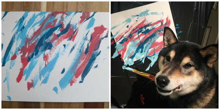 Ένας σκύλος που ζωγραφίζει – Τα έργα του μέχρι σήμερα έχουν χαρίσει στην οικογένειά του κέρδη 5.000 δολ. (φωτο – βίντεο)