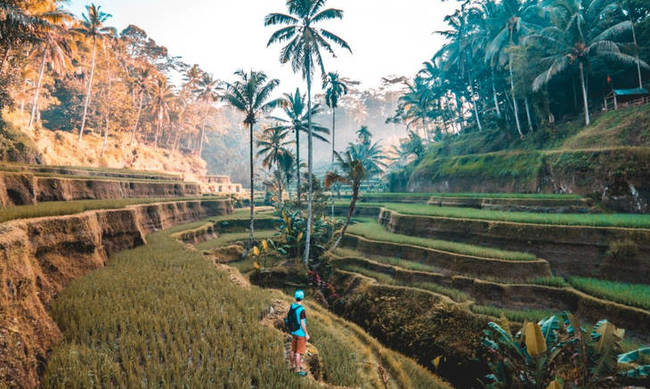Αυτοί είναι οι κορυφαίοι ταξιδιωτικοί προορισμοί για το 2019