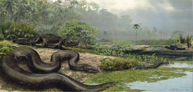Τιτανοβόας: Το μεγαλύτερο φίδι της ιστορίας έφτανε σε μήκος τα 13 μέτρα και σε βάρος τους 1,2 τόνους (βίντεο)