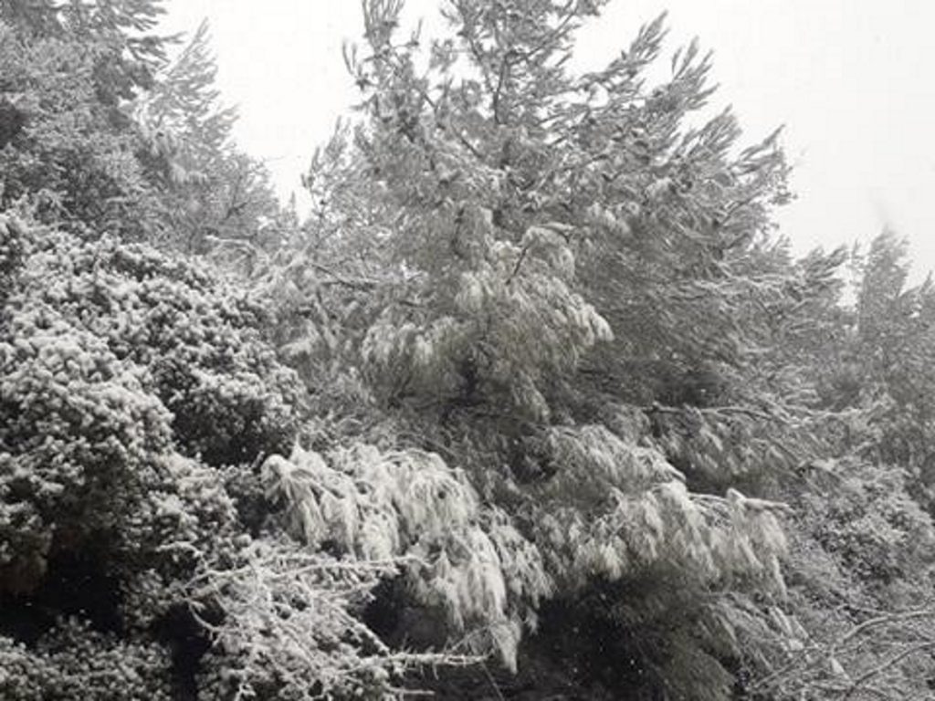 Δείτε εντυπωσιακές εικόνες από τη χιονισμένη Λέσβο (φωτο)