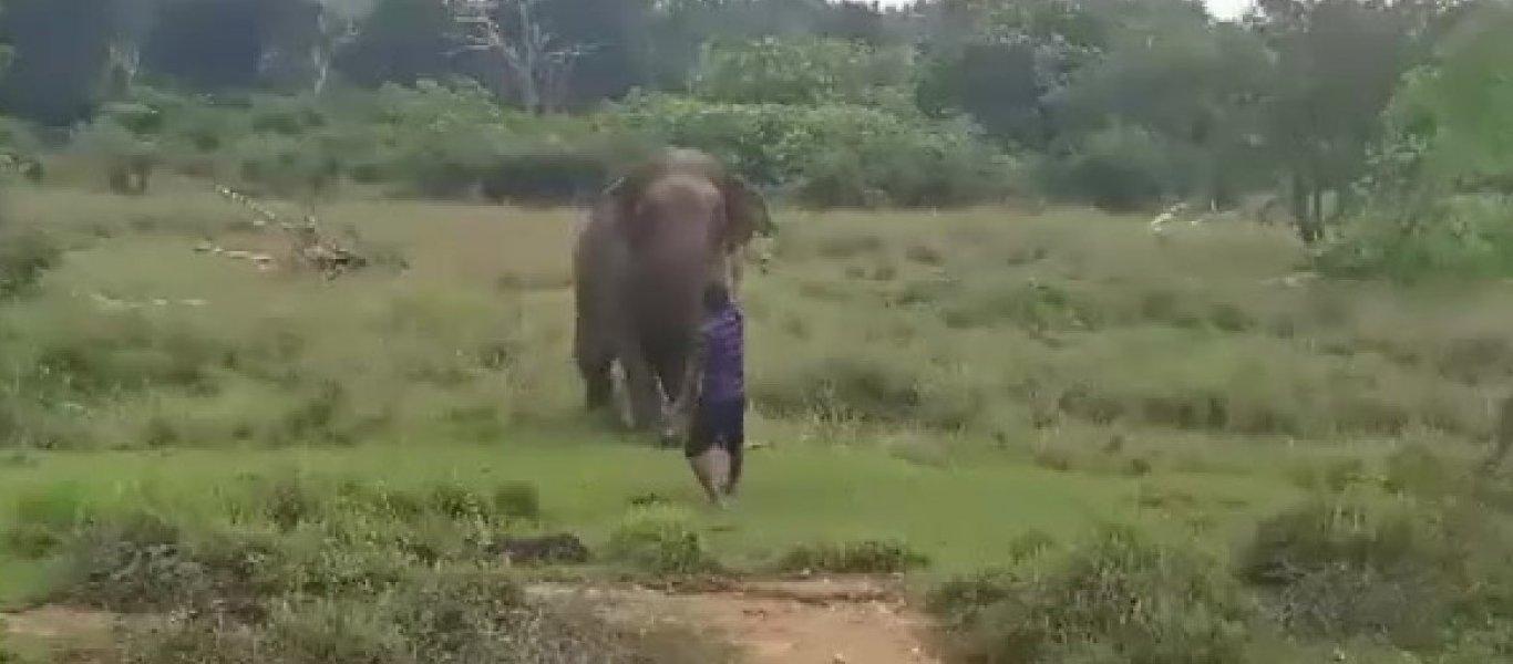 Ελέφαντας ποδοπατά μέχρι θανάτου έναν άνδρα (βίντεο)