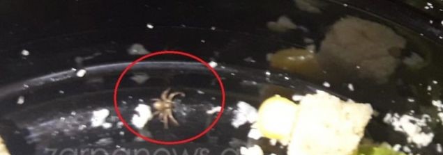 Κρήτη: Σουβλατζίδικο σέρβιρε σαλάτα με…αράχνη (φωτο)