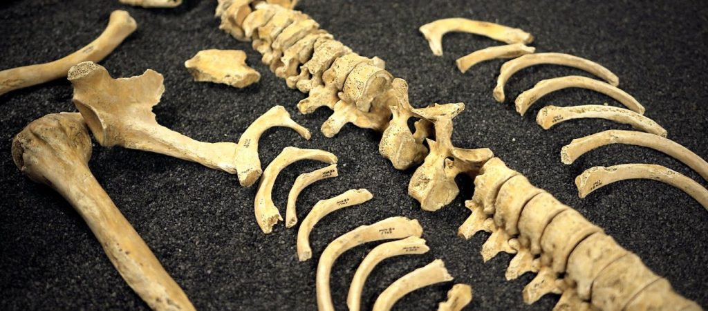 Αίγιο: Βρήκαν σακούλα με ανθρώπινα οστά θαμμένη κάτω από άγαλμα – Εικασίες για ιστορική ανακάλυψη (φωτο)