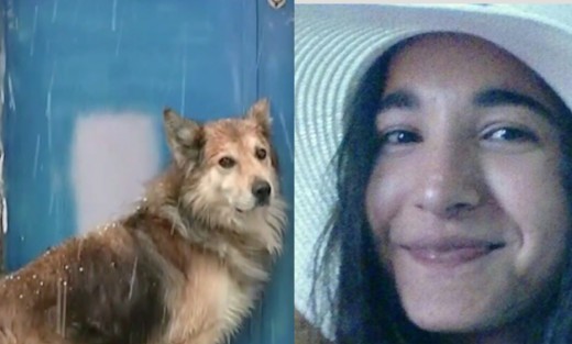 Βρήκε σπίτι ο Ρόκι – Ο σκύλος που υπέδειξε που ήταν θαμμένη η Αγγελική Πέτρου (φώτο)