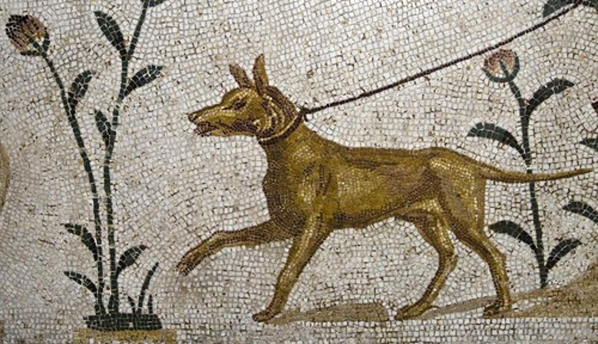 Ποια ονόματα έδιναν στα σκυλιά τους οι αρχαίοι Έλληνες;