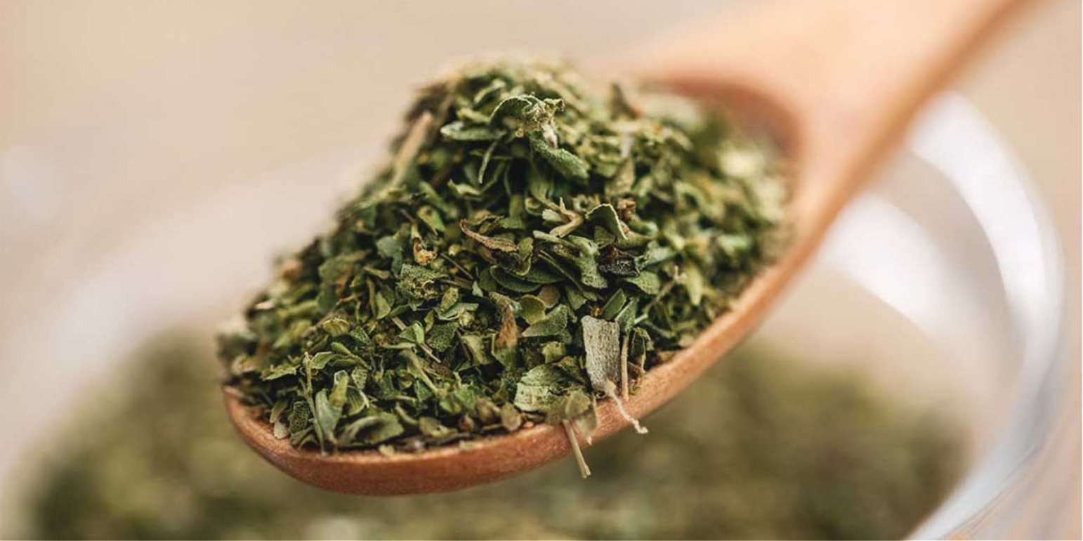 Τα οφέλη της ρίγανης στον ανθρώπινο οργανισμό