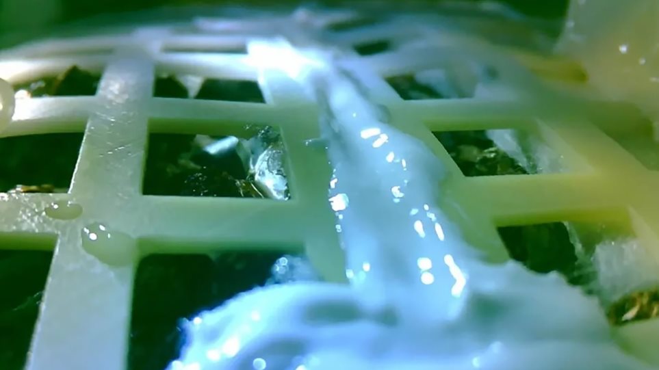 Δεν άντεξε στις πολικές θερμοκρασίες της σεληνιακής νύκτας ο κινέζικος σπόρος αλλά δημιούργησε ελπίδες (βίντεο)