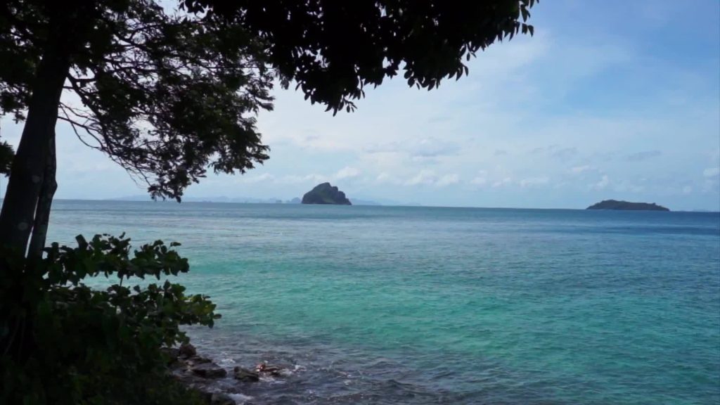 Τουρίστες αδυνατούν να περιμένουν και… έρχονται σε επαφή σε θάλασσα της Ταϊλάνδης (βίντεο)