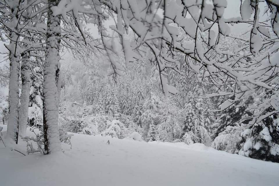 Καιρός: Πού θα χιονίσει την Παρασκευή