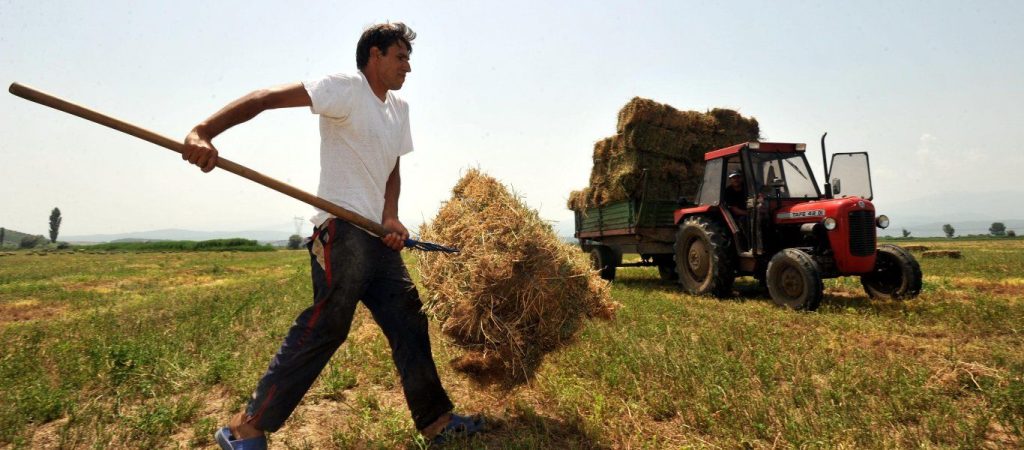 Αγρότες θα λάβουν οικονομική ενίσχυση ύψους 14.000 ευρώ – Δείτε ποιοι είναι δικαιούχοι