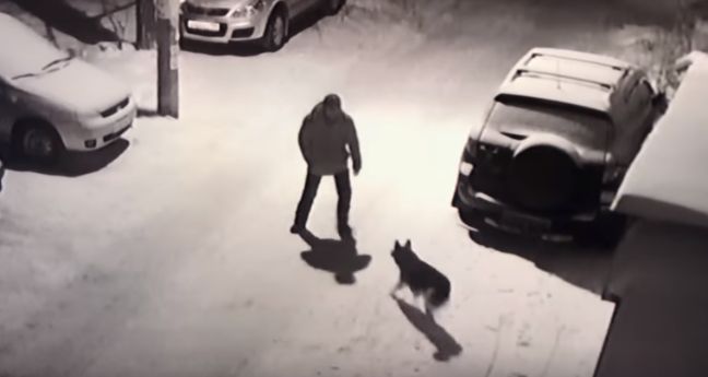 Κλώτσησε χωρίς λόγο ένα  σκύλο! Αυτό που ακολούθησε δεν το περίμενε…(βίντεο)